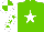 Silk - Light green, white star, white sleeves, light green stars, quartered cap