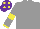 Silk - grey, yellow armlets and cuffs, purple cap, yellow spots