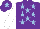 Silk - Purple, light blue stars, white sleeves, purple cap, light blue star