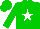 Silk - Green,  white star, green cap