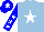 Silk - Light Blue, White star, Blue sleeves, White stars, Blue cap, White star