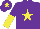 Silk - Purple body, yellow star, purple arms, yellow halved, purple cap, yellow star