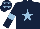 Silk - Dark blue, light blue star, armlets, stars on cap