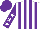 Silk - White, purple stripes, white stars on purple sleeves and cap