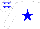 Silk - White body, blue star, white arms, white cap, blue stars