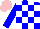 Silk - Blue and white checks, blue sleeves, pink cap