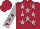 Silk - Maroon, silver stars, maroon stars on silver sleeves