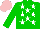 Silk - green, white stars, green sleeves, pink cap