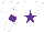 Silk - White, purple star, purple hoop on sleeves, white cap