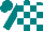 Silk - Teal and white checked,  teal sleeves