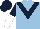 Silk - Light blue, dark blue chevron, dark blue arms, white halved, dark blue cap