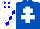 Silk - Royal blue, white cross of lorraine, white and blue diamonds on sleeves, white and blue diamonds on cap