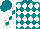 Silk - Teal and white diamonds, teal diamonds on white sleeves