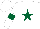 Silk - White, dark green star, white, dark green armlet sleeves, white, dark green star cap