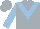 Silk - Silver, light blue 'v', light blue sleeves