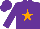 Silk - Purple, orange star, purple sleeves, purple cap