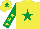 Silk - Yellow, emerald green star, emerald green sleeves, yellow stars, yellow cap, emerald green star