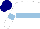 Silk - White, light blue hoop, light blue band on sleeves, navy blue cap