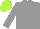 Silk - Grey, lime green cap