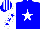 Silk - blue, white star, blue stars on white sleeves, striped cap