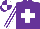 Silk - Purple, white cross, purple and white striped sleeves, quartered cap