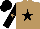 Silk - light brown, black star,  black sleeves,  light brown star, light brown star on black cap