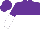 Silk - purple and white halved horizontally, purple and white halved sleeves, purple cap