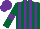 Silk - dark green and purple stripes, purple armbands on dark green sleeves, purple cap