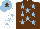 Silk - Brown, light blue stars, white sleeves, light blue stars, light blue cap, brown star