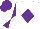 Silk - White, purple diamond, purple, white diabolo sleeves, purple cap