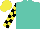 Silk - Turquoise, yellow and black checked sleeves, yellow cap