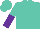 Silk - Turquoise, turquoise and purple halved sleeves, turquoise cap