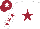 Silk - White, maroon star, white sleeves, maroon stars, maroon cap, white star