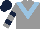 Silk - Grey body, light blue chevron, grey arms, dark blue hooped, dark blue cap