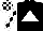 Silk - Black body, white triangle, white arms, black diamonds, white cap, black checked