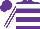 Silk - Purple, white hoops, white stripes on sleeves
