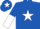Silk - Royal Blue, White star, halved sleeves and star on cap
