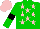 Silk - Green, pink stars, black armbands on green sleeves, pink cap