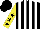 Silk - Black and white vertical stripes, yellow sleeves with black stars