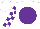 Silk - White, purple disc, purple and white checked sleeves