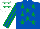 Silk - Royal blue, emerald green stars, striped sleeves, white cap, emerald green stars