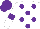 Silk - White, purple dots, purple armlets on sleeves, purple cap