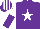 Silk - purple, white star, white and purple halved sleeves, purple and white striped cap