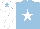 Silk - light blue, white star, white sleeves and cap, light blue star