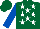 Silk - Dark green, white stars, royal blue sleeves