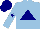 Silk - Light blue, navy blue triangle, navy blue star on sleeves, navy blue cap