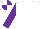 Silk - White, purple sleeves, quartered cap