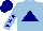 Silk - Light blue, navy blue triangle, navy blue stars on sleeves, navy blue cap