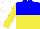 Silk - blue and yellow halved horizontally, yellow sleeves, white cap