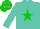 Silk - Turquoise, green star, green cap with grey stars